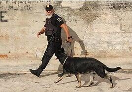 La nueva casa de Else en la Policía Local de Las Palmas de Gran Canaria