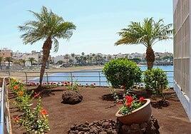 Mogán adjudica el nuevo contrato del servicio de mantenimiento de jardines