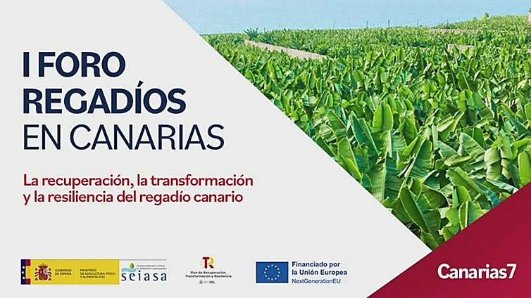 Foro CANARIAS7 | Recuperación, transformación y resiliencia del regadío canario
