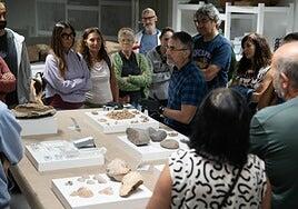 Erbania acaba con la púrpura de Lobos