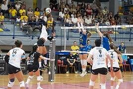 Derbi en las alturas: el Heidelberg defiende liderato ante el Haris