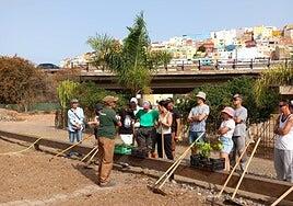 El Ayuntamiento va a los juzgados por una deuda por los huertos urbanos