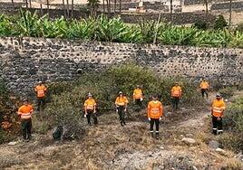 La captura de serpientes baja también en 2024 aunque haya más ejemplares