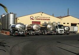 Sentencia absolutoria y definitiva del grupo Ganaderos de Fuerteventura por delito medio ambiental