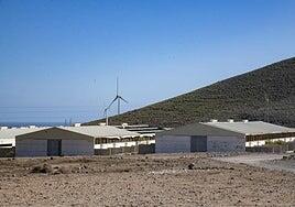 Adjudicada la reforma para el centro de reproducción animal de razas autóctonas