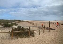 Protección para el humedal del Saladar de Jandía