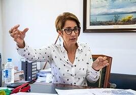 «Vamos a ayudar a Teodoro Sosa a ser el próximo presidente del Cabildo»