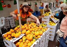 La Feria de la Naranja, en imágenes