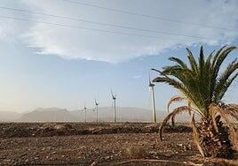 El viento de Dorothea se va de Canarias y la calima entra por la puerta grande