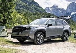 Para carretera y campo