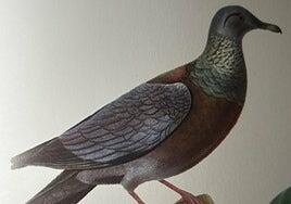 Cosas en otoño (y II)