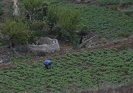 El Cabildo subvenciona obras hidráulicas y de riego de iniciativa privada