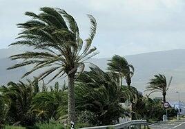 Canarias inaugura 2025 con nubosidad de evolución, lloviznas y heladas en La Palma