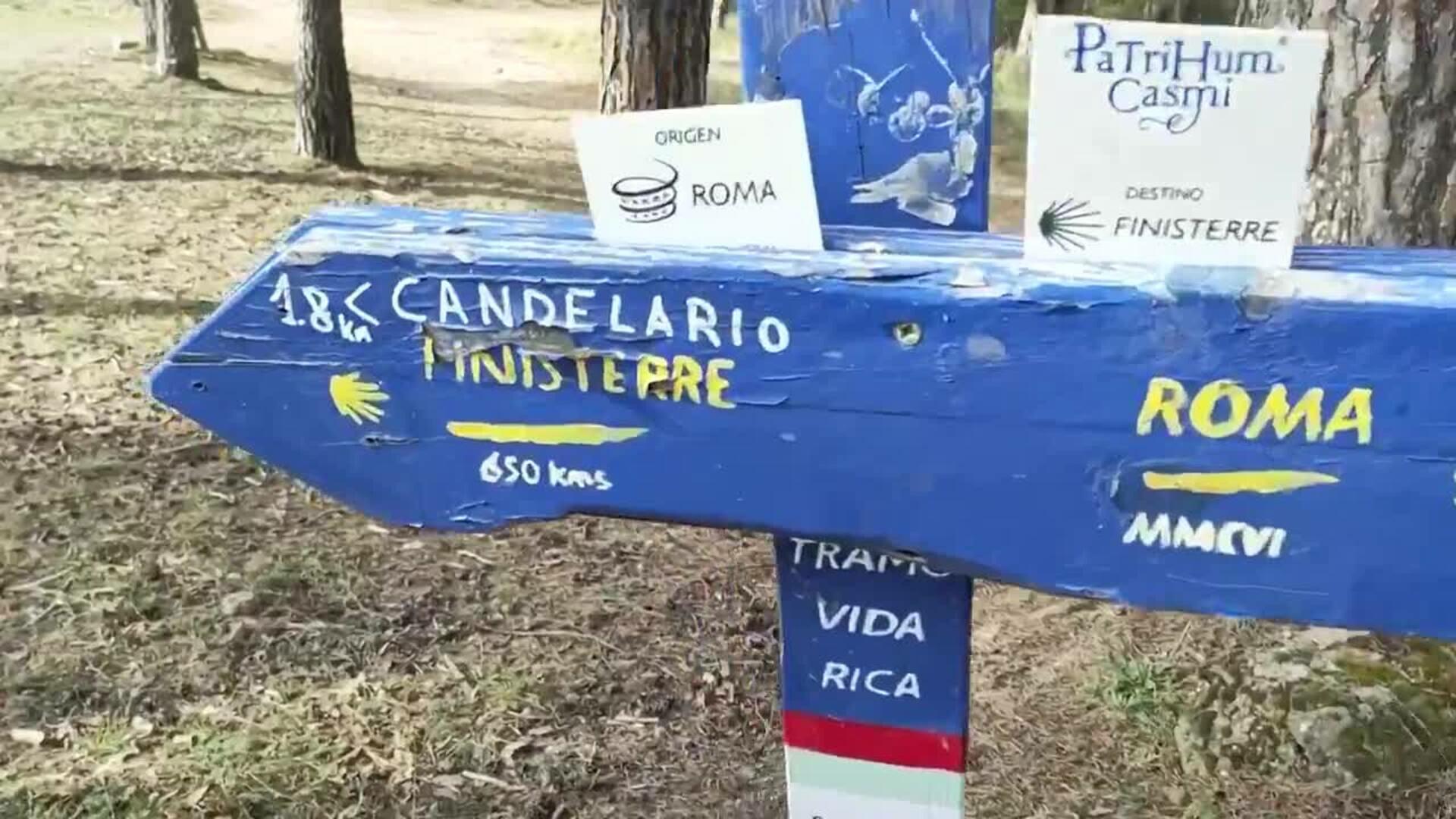 Béjar y Candelario (Salamanca), unidos por un sendero entre pinos y robles