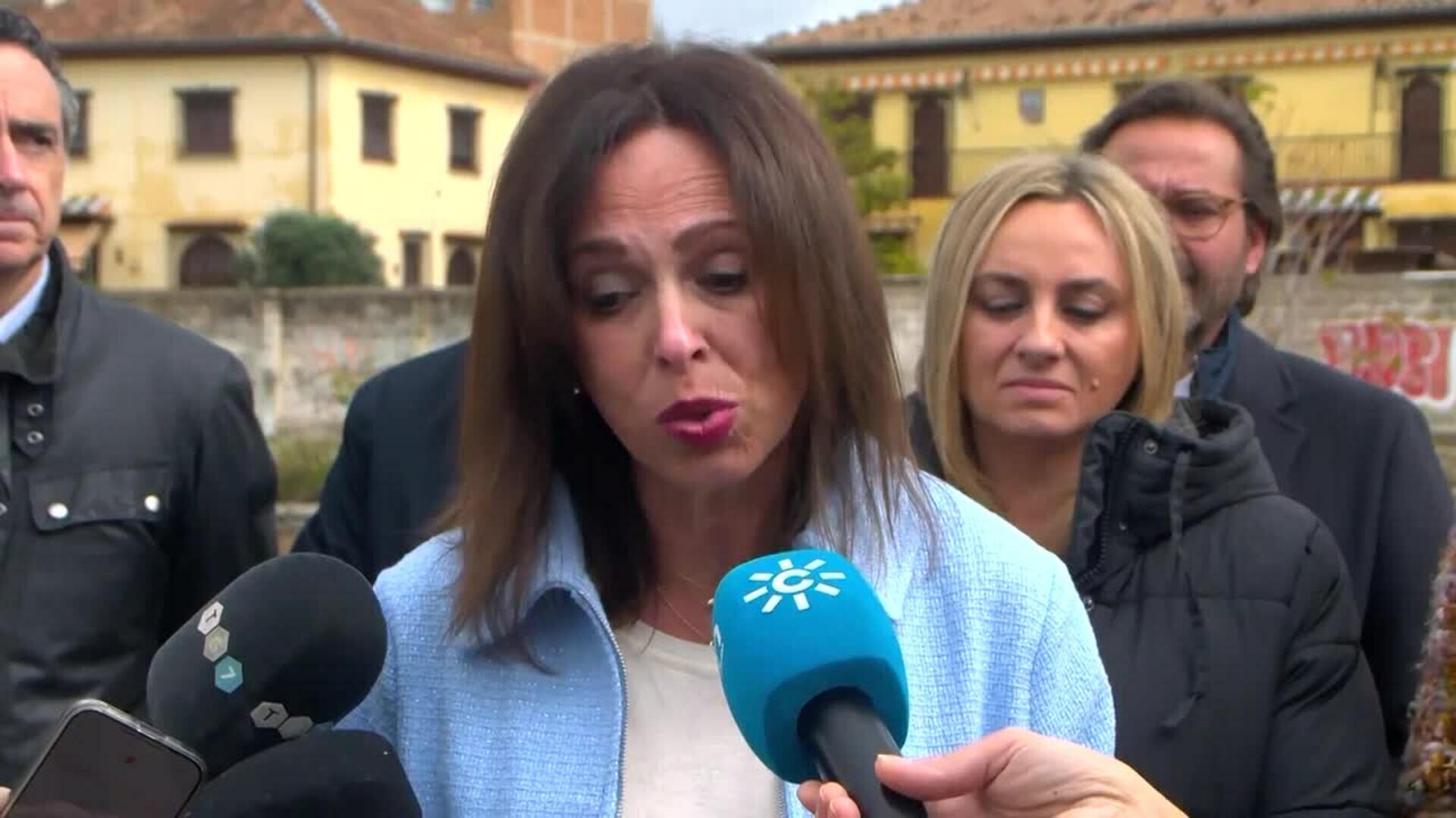 La Junta reclama el tren a Marbella, "necesario para la movilidad y con garantía de éxito"