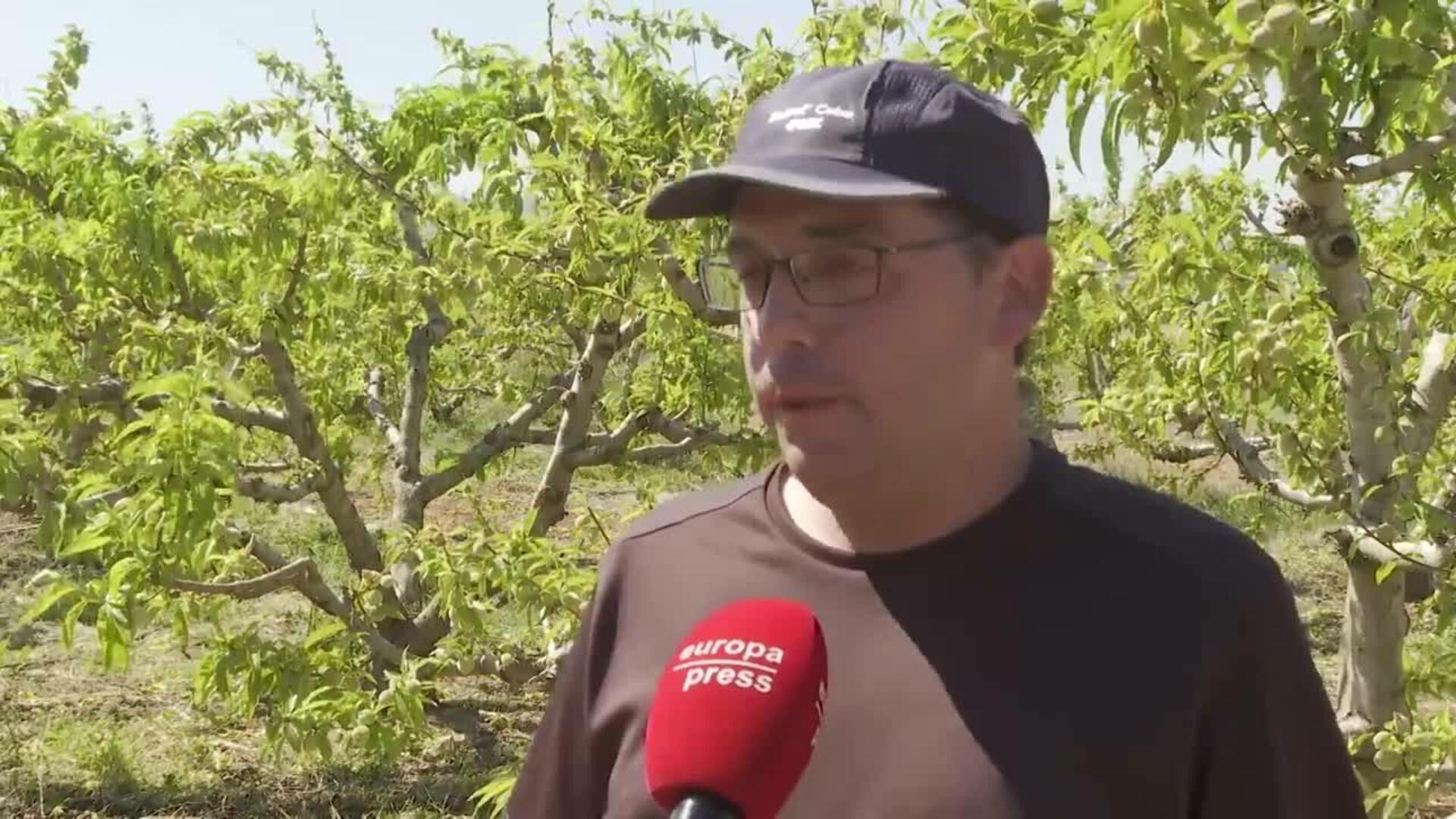 Agricultores valencianos ven "insignificante" el volumen de lluvias registradas en Semana Santa