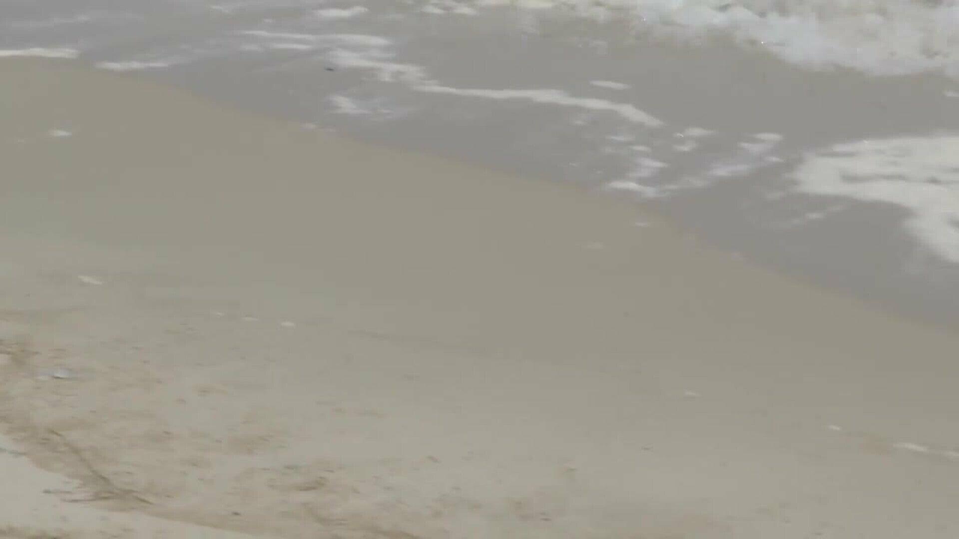 Realizan catas en la arena para comprobar que no hay residuos en las playas de Valencia