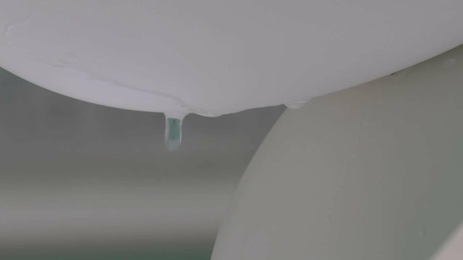 La obra de Yoshitomo Nara se puede visitar en el Museo Guggenheim hasta noviembre