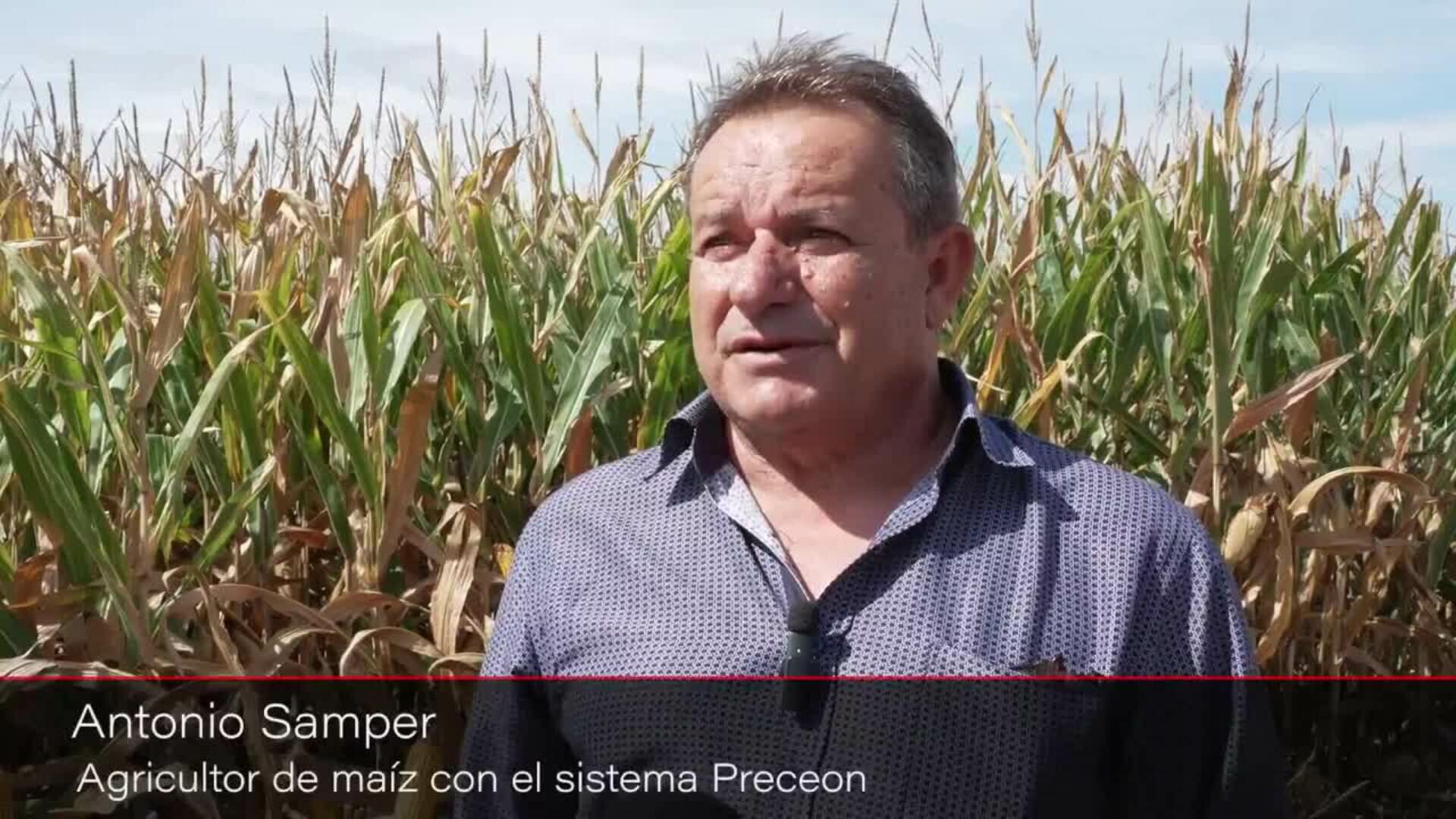 Se presenta un nuevo sistema de cultivo de maíz más productivo y sostenible