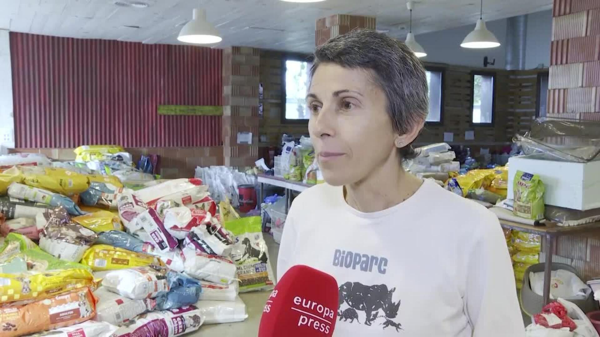 Bioparc Valencia organiza recogida de alimentos para mascotas y solicitan "comida para gatos"