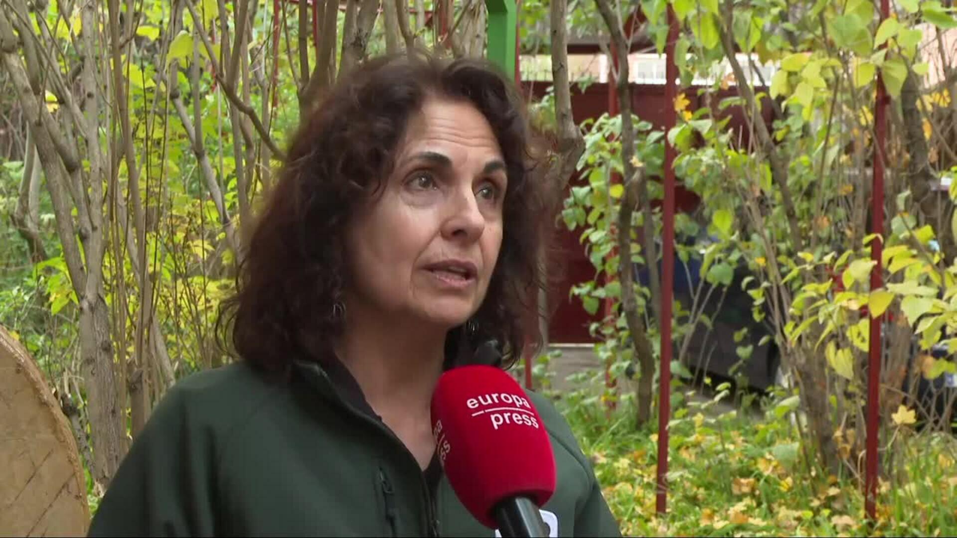 WWF critica el acuerdo de la COP29 por insuficiente