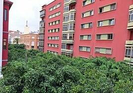 El paseo ciego de Tomás Morales