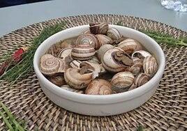 Las Jornadas Gastronómicas del Caracol abren las fiestas de Agüimes