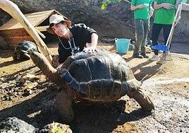 A cuidar una tortuga terrestre gigante se aprende así en Fuerteventura