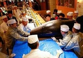 Un kilo de atún: 4.600 euros