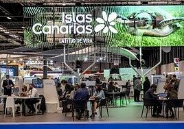 Casi 900 expositores en la primera gran feria del año