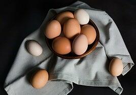 El huevo, el pequeño gigante de la nutrición