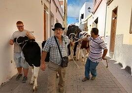 Día grande de San Sebastián en Agüimes