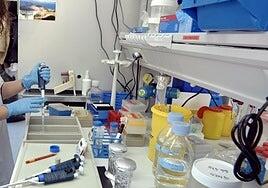 Un desconocido agente químico causa decenas de bajas en los laboratorios del Hospital de Toledo