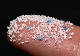 Los microplásticos pueden trastocar el funcionamiento del cerebro