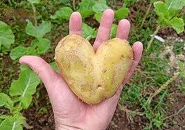 Haz de la papa algo muy saludable