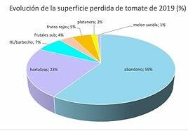 Del terreno de tomate abandonado, un 23% tiene ahora hortalizas