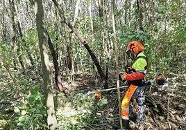 Un total de 125 personas realizaron las prácticas formativas en Gesplan durante el pasado año