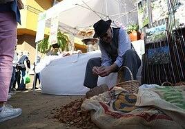 Valsequillo florece con la Ruta del Almendro en Flor