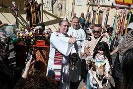 Los benditos animales del barrio de Tamaraceite