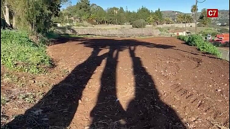 Superficies agrícolas en Santa Brígida y San Mateo