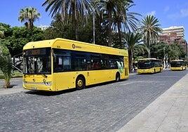 El nuevo decreto ley salva la gratuidad de las guaguas y las ayudas a La Palma