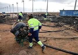 El Sureste triplica la superficie de limpieza de invernaderos abandonados