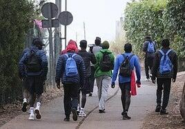 Canarias quiere formar a casi 1.000 migrantes en hostelería, agricultura y la construcción