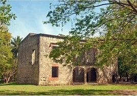 La selección muestra las dos etapas primigenias de la caña atlántica