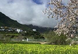 La semana arranca con lluvias débiles en el norte