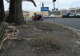 La basura rodea la sede de Limpieza