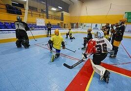 El Molina Sport, el club de barrio que domina el hockey nacional y europeo