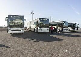 Cinco nuevas grandes guaguas híbridas entrarán en servicio la semana próxima