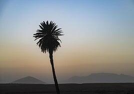 La calima ligera se resiste a salir de Canarias