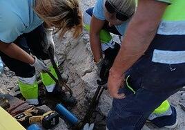 El PFAE Hidroventura, que da trabajo a quince personas, entra en su fase final